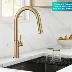 Hot Torak Single Handle Pull Down Kitchen Faucet in Brushed Brass Single Hole