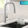 Hot Torak Single Handle Pull Down Kitchen Faucet in Spot-Free Stainless Single Hole