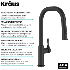 Discount Torak Single Handle Pull Down Kitchen Faucet in Matte Black Single Hole