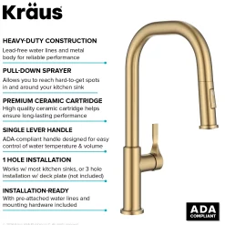Sale Torak Single Handle Pull Down Kitchen Faucet in Brushed Brass Single Hole