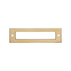 Clearance Hollin Backplate Top Knobs