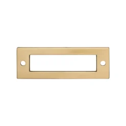 Clearance Hollin Backplate Top Knobs