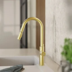 Outlet Kitchen Faucet with Curved Pull-Down Spout in Brushed Gold Single Hole