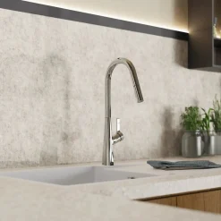 Online Kitchen Faucet with Curved Spout Pull-Down Sprayer in Chrome Single Hole